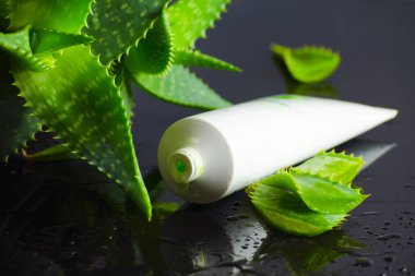 aloe vera ile spa için güzellik ürünleri