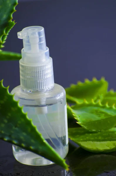 Productos de belleza para spa con aloe vera — Foto de Stock