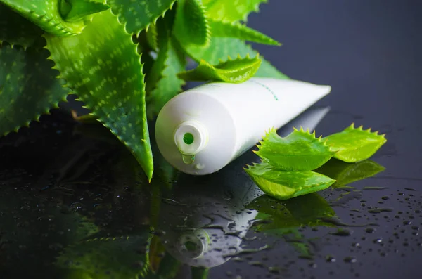 aloe vera ile spa için güzellik ürünleri