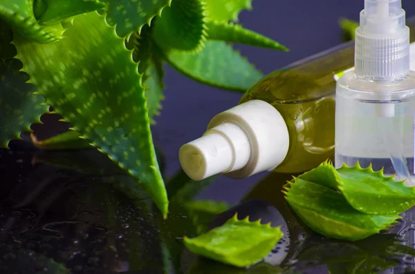 Beauty products for spa with aloe vera — Stock Photo, Image