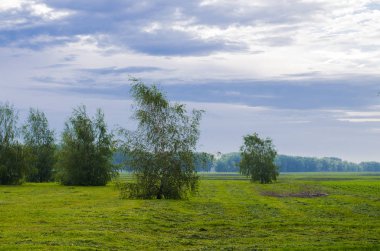 Yağmurlu havada bahar manzarası