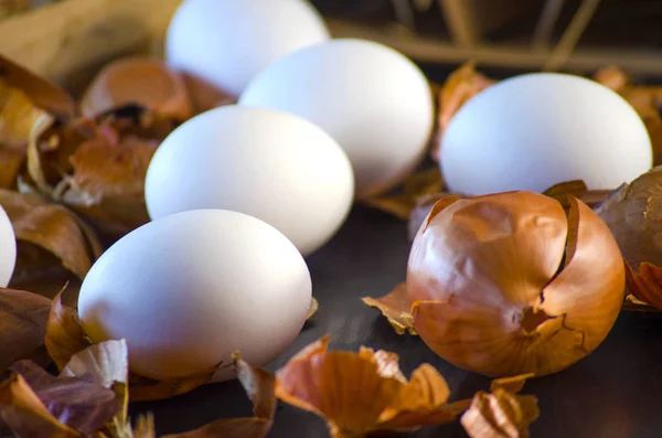 Cáscaras de cebolla y huevos — Foto de Stock