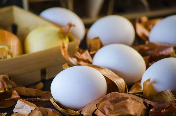 Cáscaras de cebolla y huevos — Foto de Stock