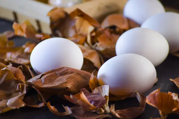 Cascas de cebola e ovos — Fotografia de Stock