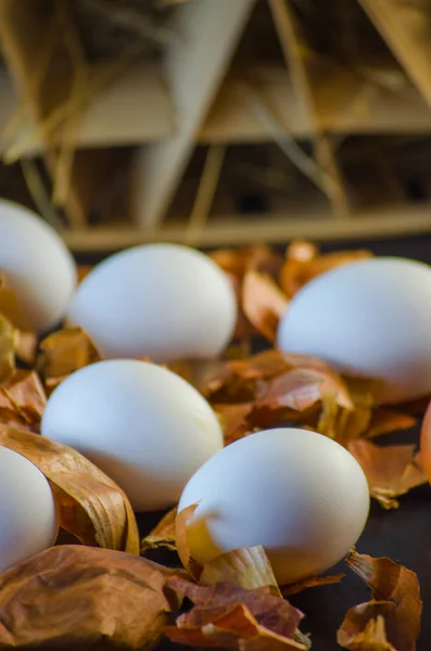 Cáscaras de cebolla y huevos — Foto de Stock