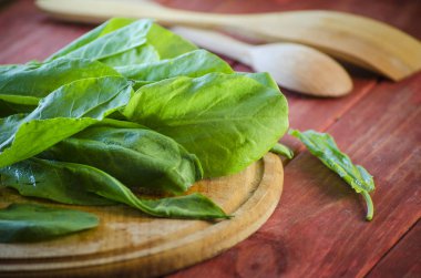 taze yeşil kuzukulağı