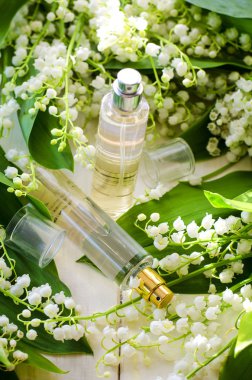 Lily vadi aroması ile parfüm