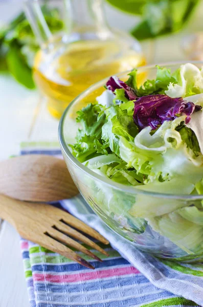 Verse voeding groene salade — Stockfoto