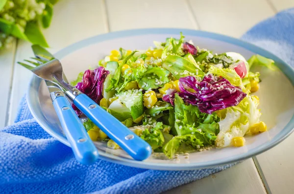 Friss salátával, szezámmag — Stock Fotó