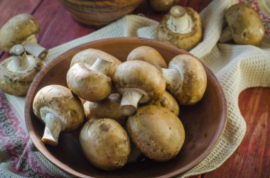 Taze Kraliyet mantar