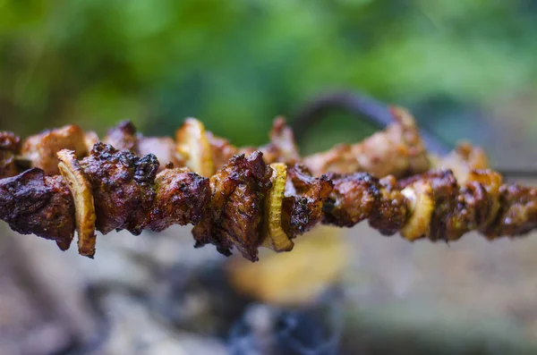 A champor, mint a tűz a shish kebab — Stock Fotó
