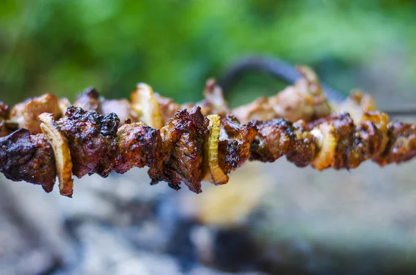 Bir champor bir ateşte üzerinde şiş kebap — Stok fotoğraf