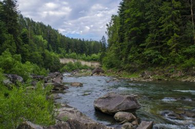 büyük smoky Dağları Milli Parkı dağ dere üzerinde köprü