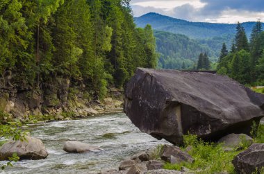dağ nehir Su kayaları boyunca hızlı bir akış ile