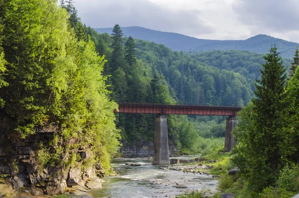 dağ nehir hızlı bir akım, kayalar ve bir köprü ile
