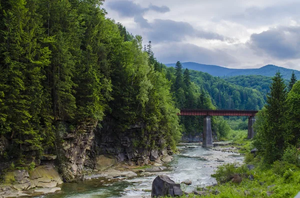 mountain river with a rapid current of rocks and a bridge