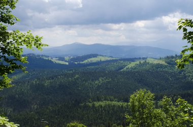 Yazın Karpat Dağları