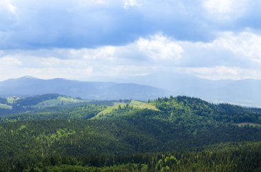 Yazın Karpat Dağları