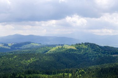 Yazın Karpat Dağları