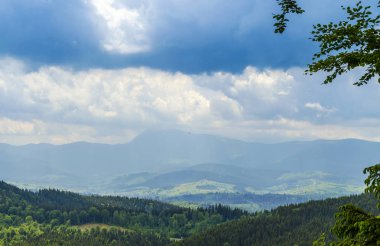 Yazın Karpat Dağları