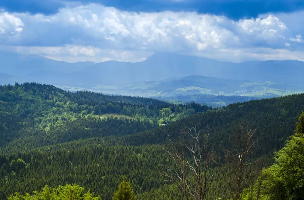 Yazın Karpat Dağları