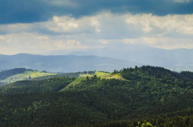 Yazın Karpat Dağları