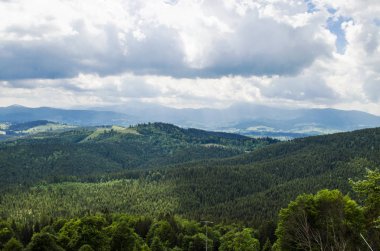 Yazın Karpat Dağları