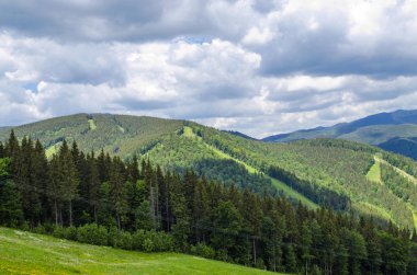 Yazın Karpat Dağları