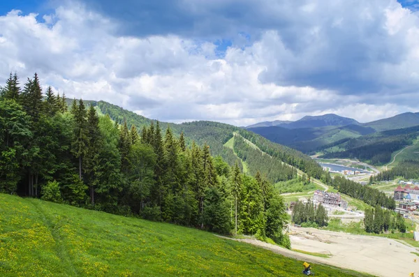 Yazın Karpat Dağları