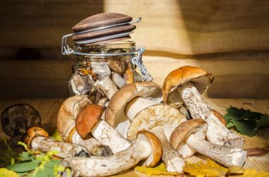 mantar bir kavanoz içinde