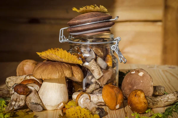Různé jedlé houby — Stock fotografie