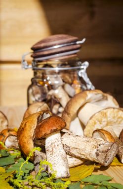 mantar bir kavanoz içinde