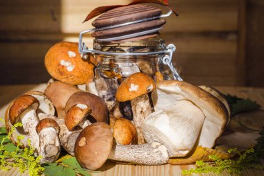 mantar bir kavanoz içinde