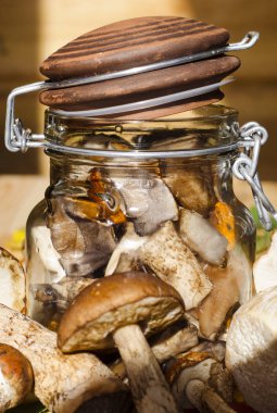 mantar bir kavanoz içinde