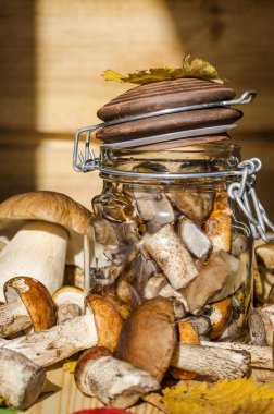 mantar bir kavanoz içinde