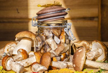 mantar bir kavanoz içinde