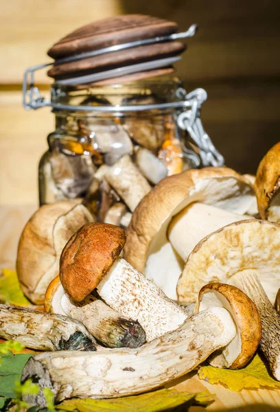 mantar bir kavanoz içinde