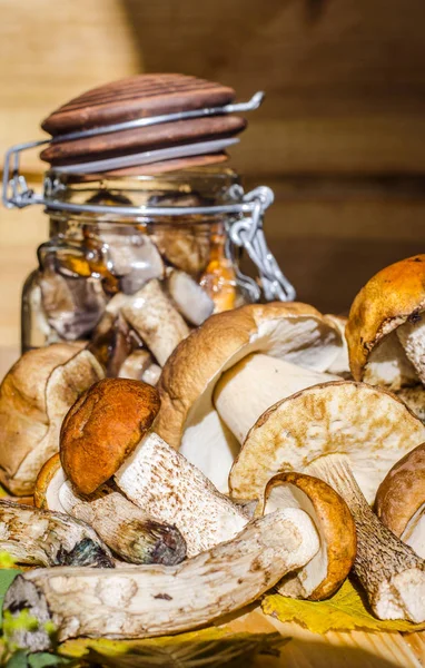 mantar bir kavanoz içinde