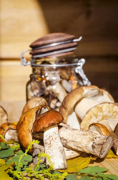 mantar bir kavanoz içinde