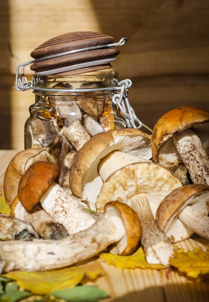 Cogumelos em um jarro — Fotografia de Stock