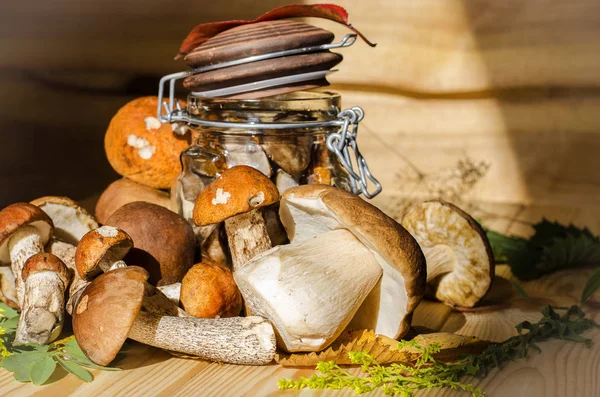 mantar bir kavanoz içinde