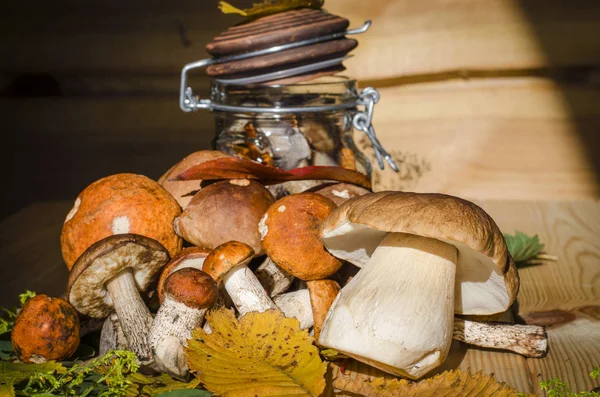 farklı yenilebilir mantar