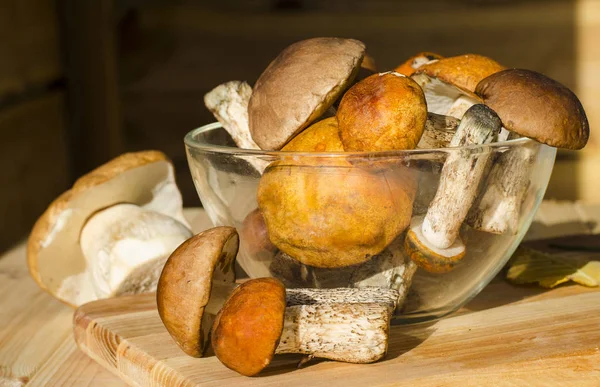 farklı yenilebilir mantar