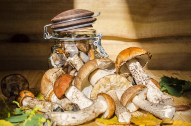 mantar bir kavanoz içinde