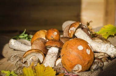 farklı yenilebilir mantar