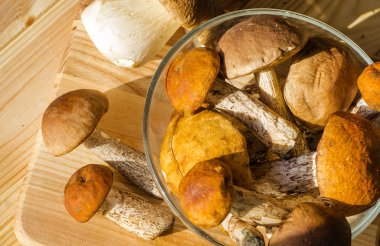 farklı yenilebilir mantar