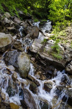 Karpatlar küçük, güzel şelale