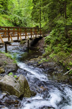 Karpatlar küçük, güzel şelale