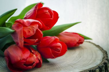 çiçekler kırmızı lale