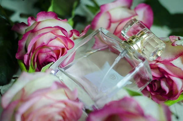 Floral vrouwelijke parfum — Stockfoto